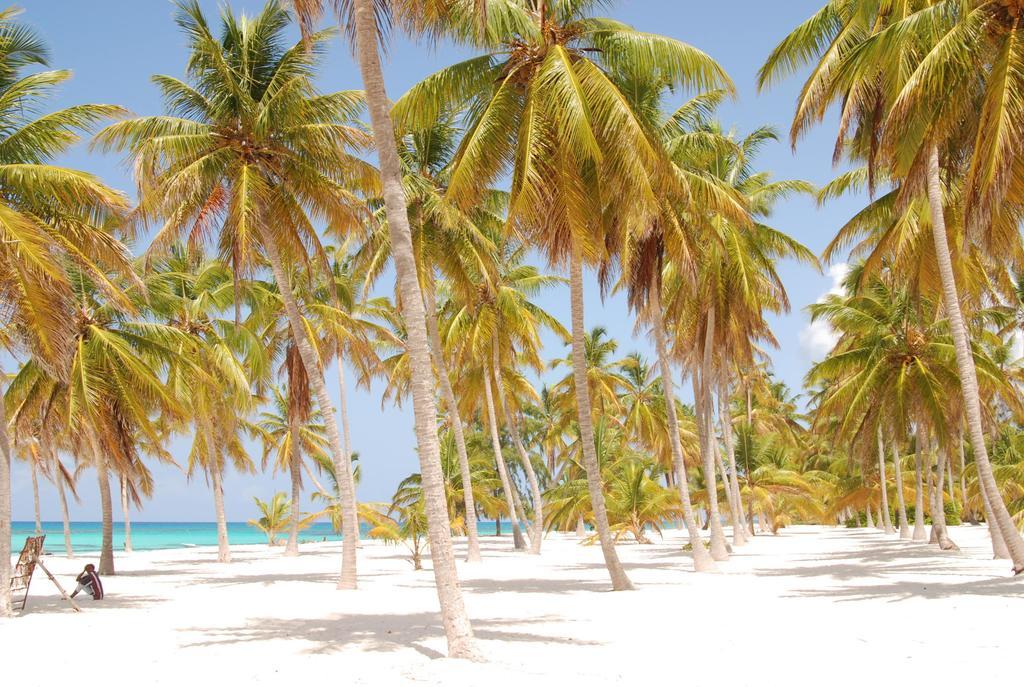Los Flamencos Aparthotel Beach Club 巴亚希贝 外观 照片