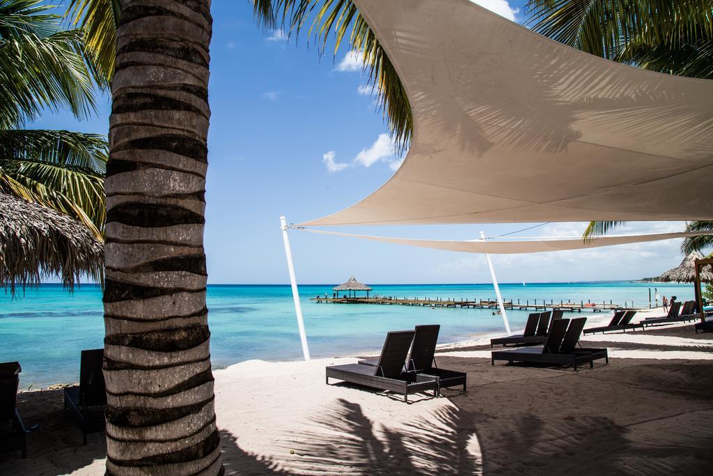 Los Flamencos Aparthotel Beach Club 巴亚希贝 外观 照片