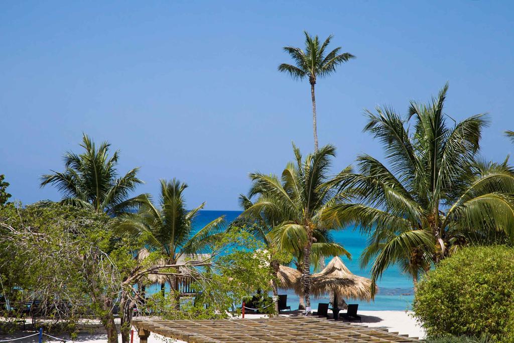 Los Flamencos Aparthotel Beach Club 巴亚希贝 外观 照片